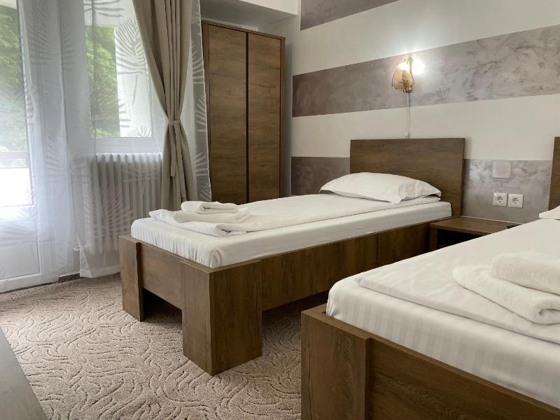 Deluxe Double or Twin Room image 3