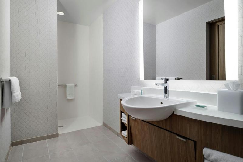King Suite with Sofa Bed - Mobility Accessible with Transfer Shower image 2