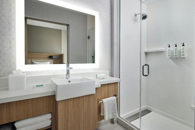 King Suite with Sofa Bed - Mobility Accessible with Transfer Shower image 4