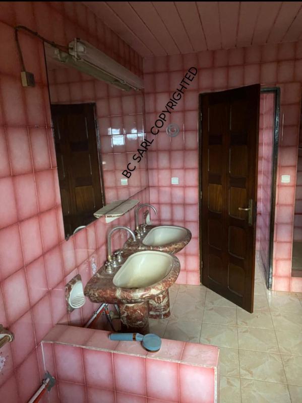 BC House Yaounde Bastos - image 3