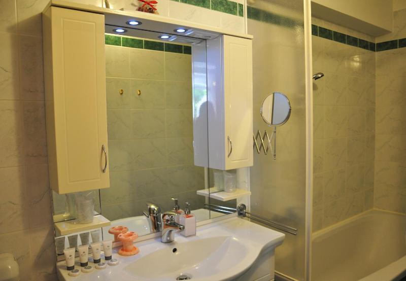 One-Bedroom Apartment with Terrace image 3