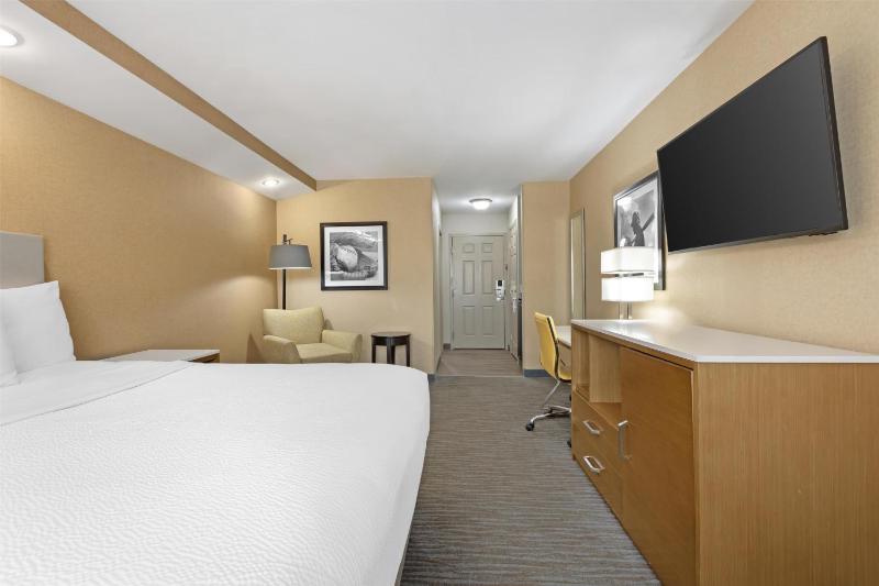 King Room - Non-Smoking image 3
