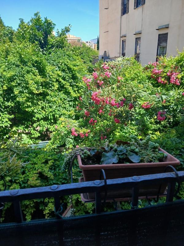 Deluxe Triple Room image 2