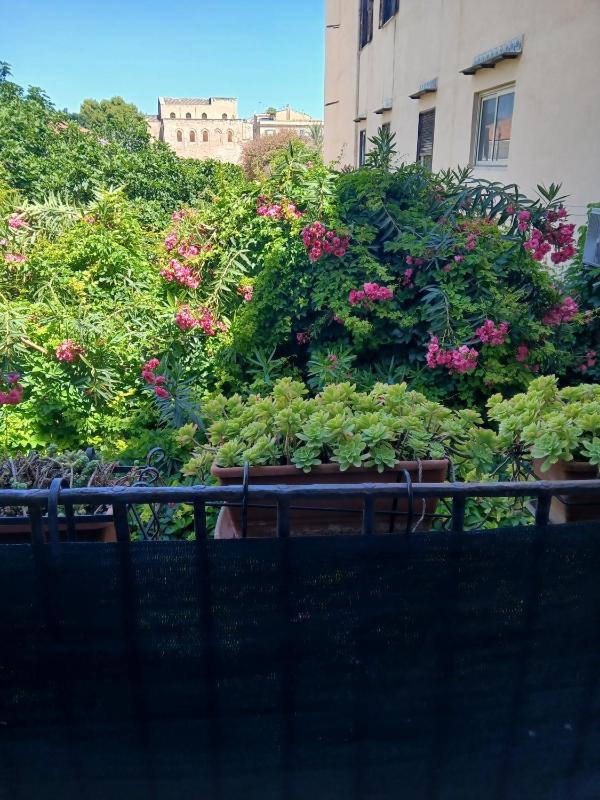 King Room with Garden View image 2