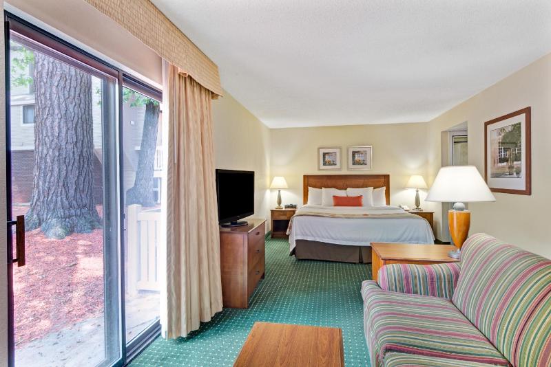 King Studio Suite image 3