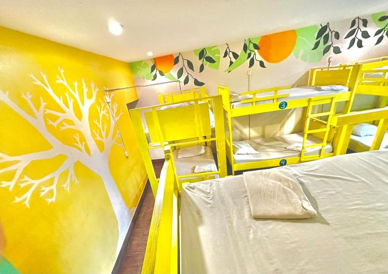 Stray Cat Hostel - image 13