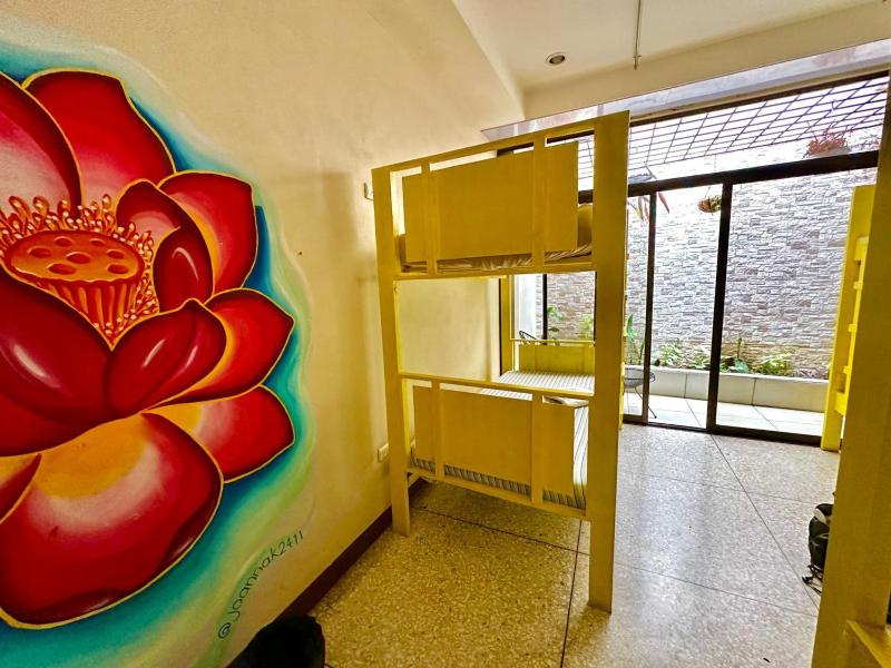 Stray Cat Hostel - image 7