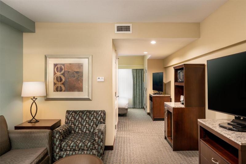 Deluxe King Suite image 2