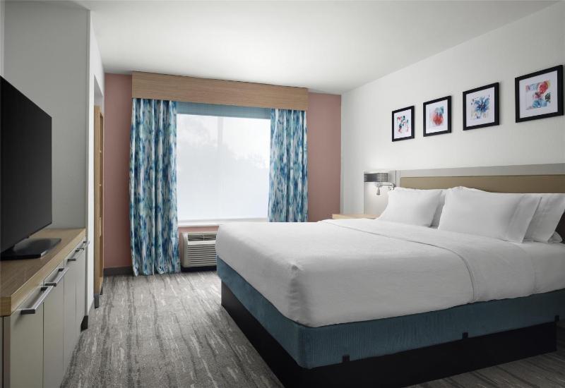 One-Bedroom King Suite with Sofa Bed image 1
