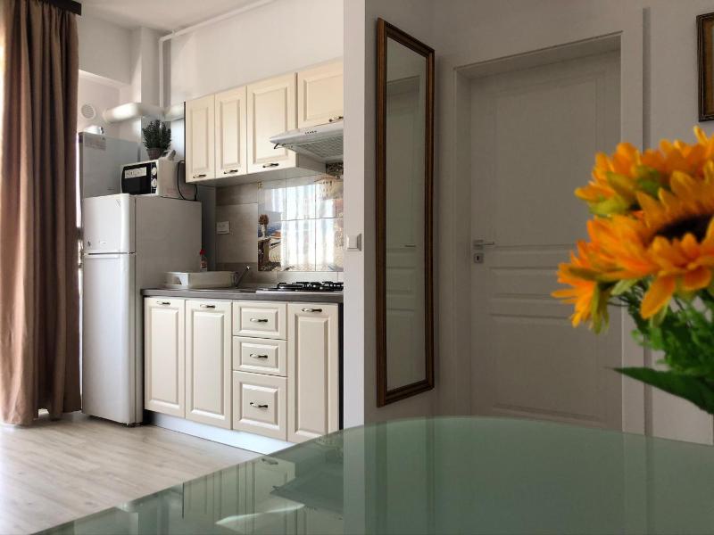 Studio Apartment image 2