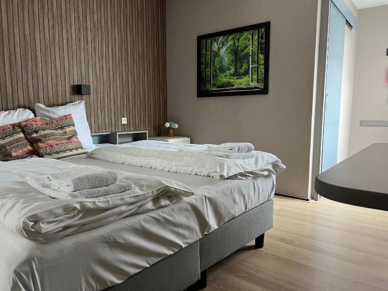 Double or Twin Room image 2