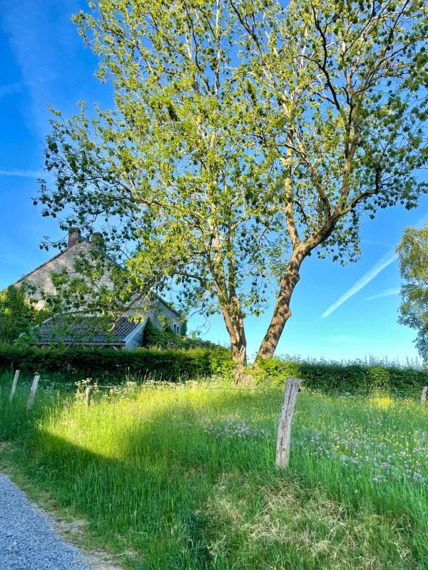 Holiday Home image 3