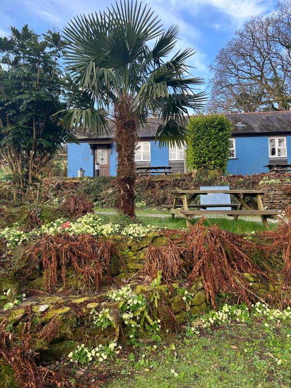 Studio with Garden View image 3