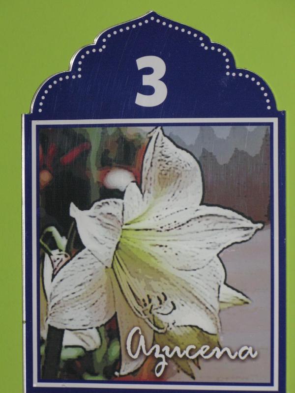 Double or Twin Room image 2