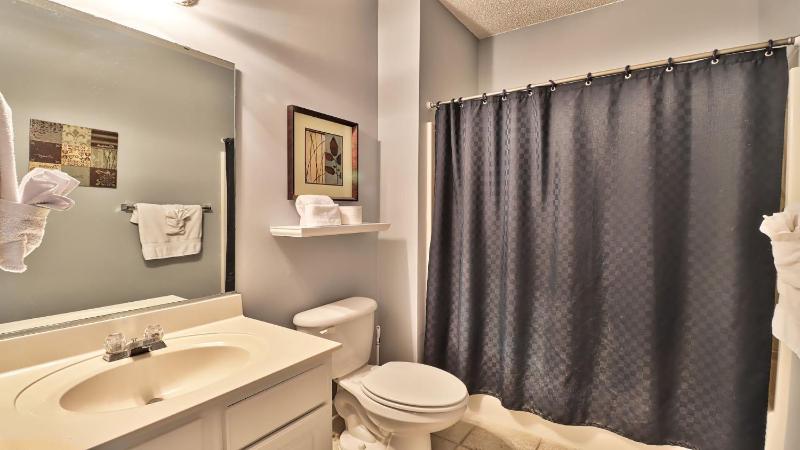 711 Ironwood Home - image 16