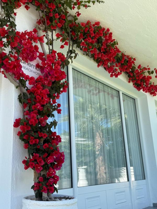 Anemoni Beach Hotel - image 20