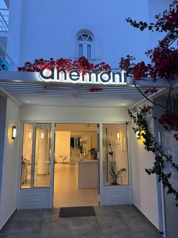 Anemoni Beach Hotel - image 38