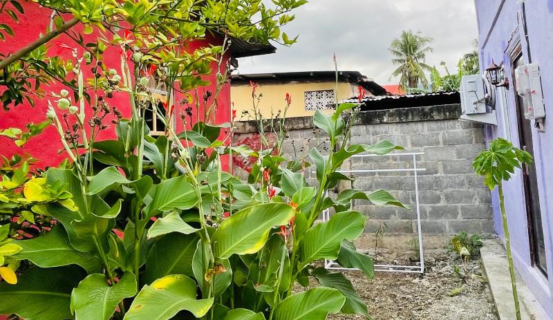 Costa Homestay - image 7
