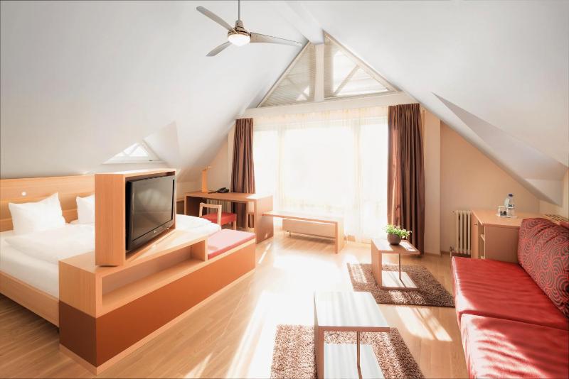 Hotel Traube am See - image 4