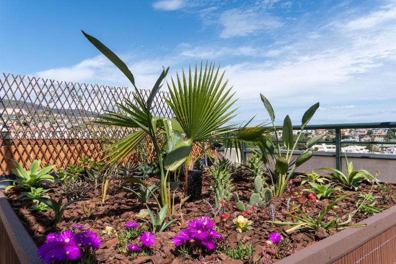 Terrace of Paradise 3 Bed Duplex Bbq Views Pool Parking - image 6