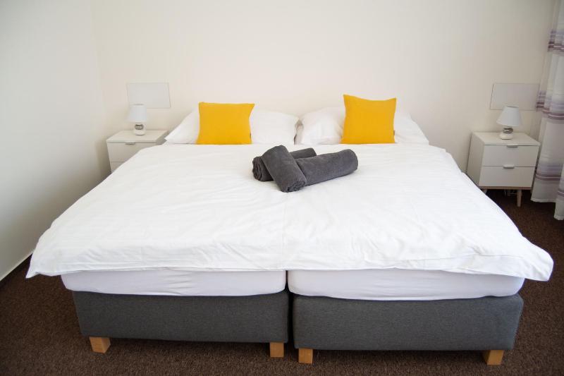 Deluxe Double or Twin Room image 1
