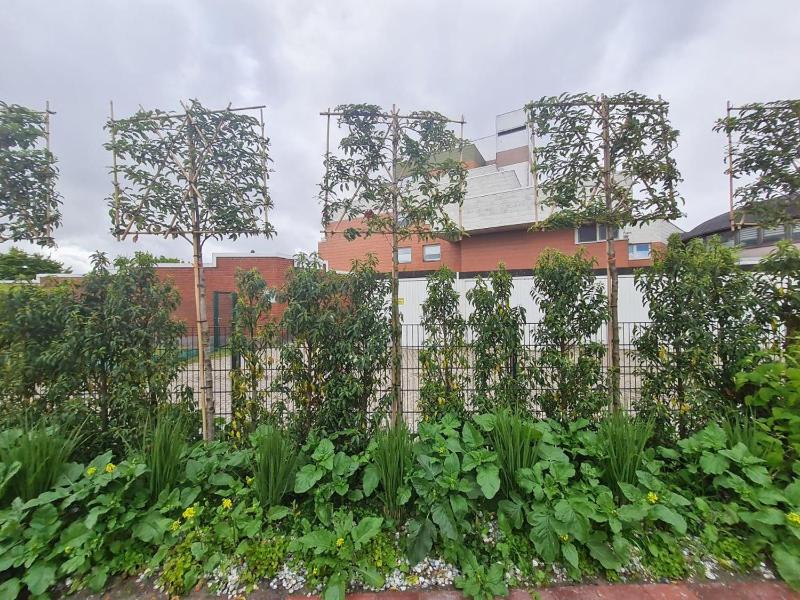 Wilde Brise 3 - Luxusbungalow in bester Lage in Norddeich - image 3