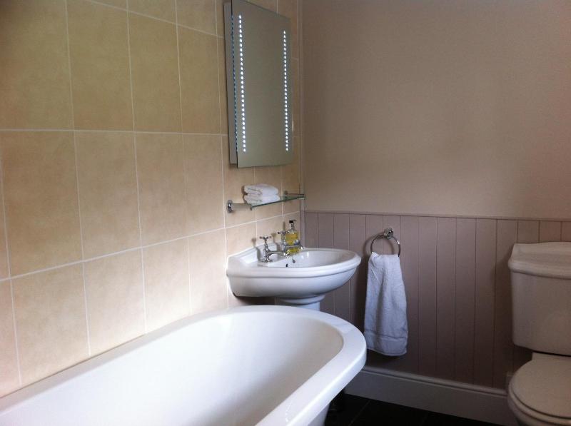Standard Double Suite image 3