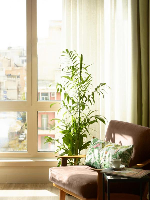 Superior Double or Twin Room with City View image 3