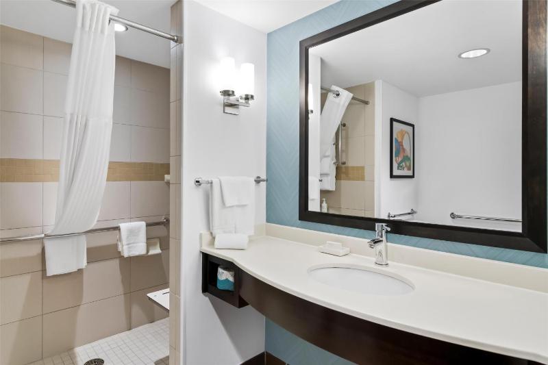 King Room with Roll-In Shower - Mobility Access image 2