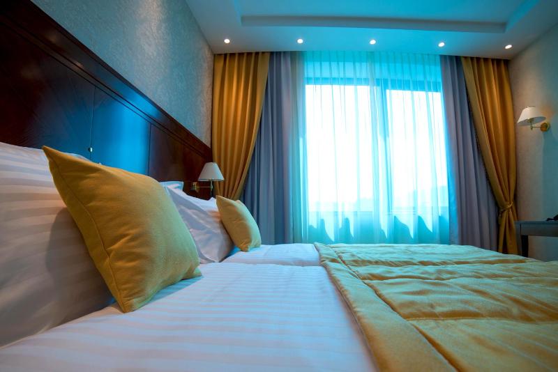 Deluxe Single Room image 2