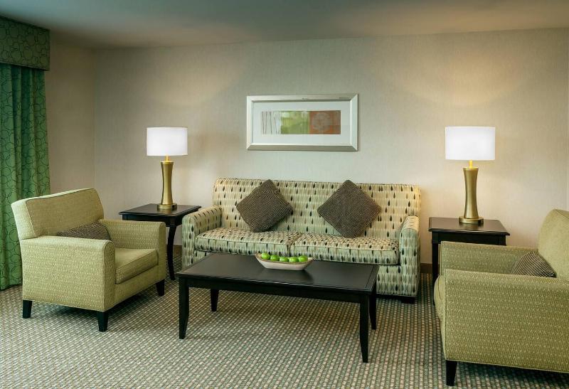 One-Bedroom King Suite image 3