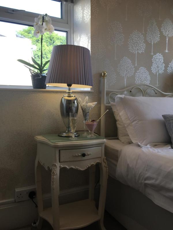 Superior Twin Room image 3