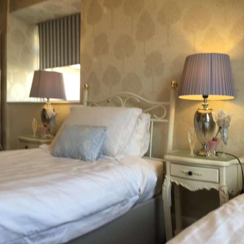 Superior Twin Room image 4