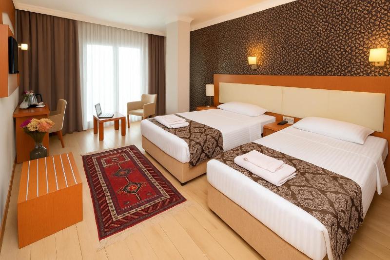 Deluxe Double or Twin Room image 4