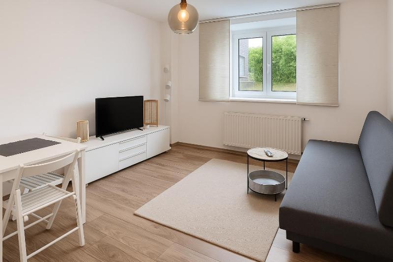Apartment with Terrace image 3
