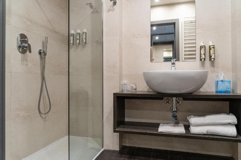 Deluxe Double or Twin Room with Lake View image 4