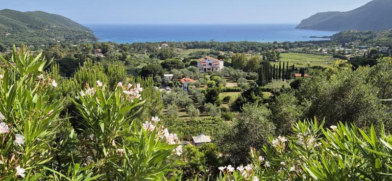 Villa Conti Residence - image 12