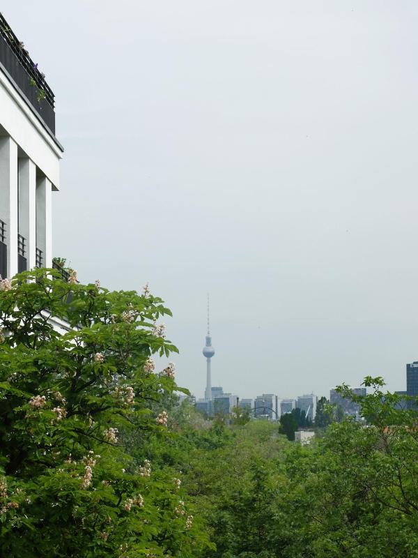 berlincity - image 16