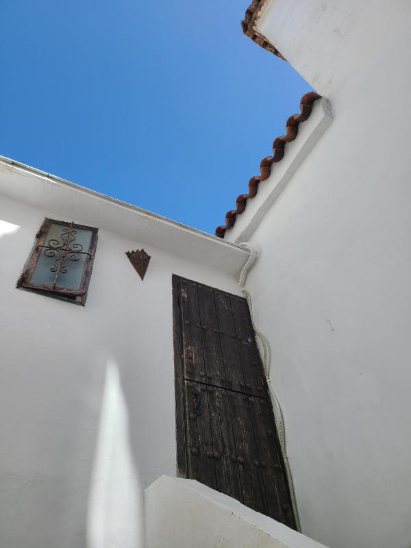 Amapola Livingtarifa - image 8