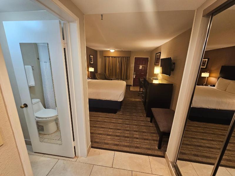 King Room - Non-Smoking image 4