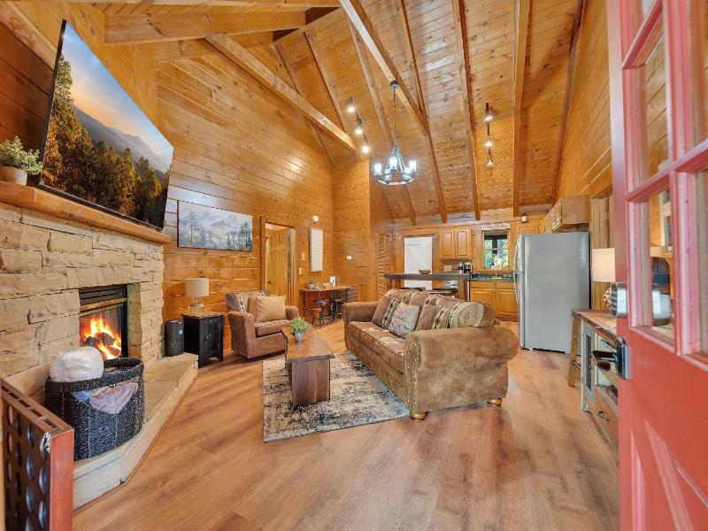 ER76 - Bear Tracks - Great location! Close to all the action! cabin - image 35