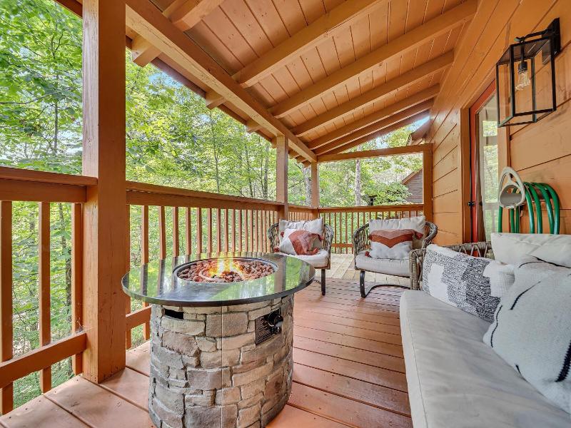 ER76 - Bear Tracks - Great location! Close to all the action! cabin - image 16