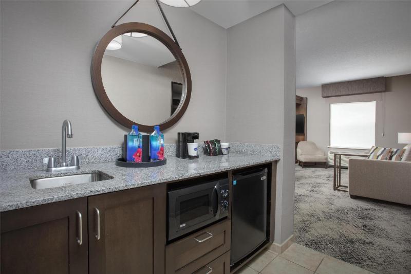 King Studio Suite image 3
