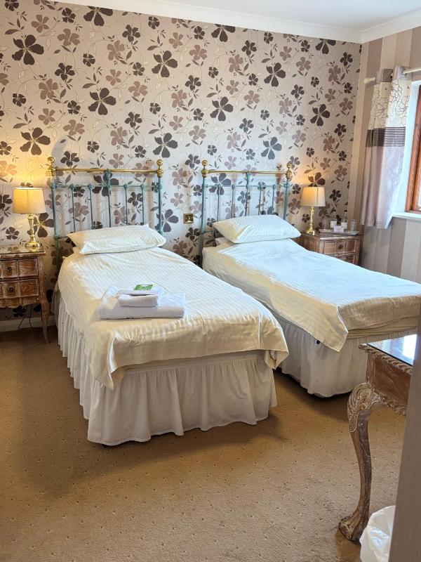 Business Twin Room image 2