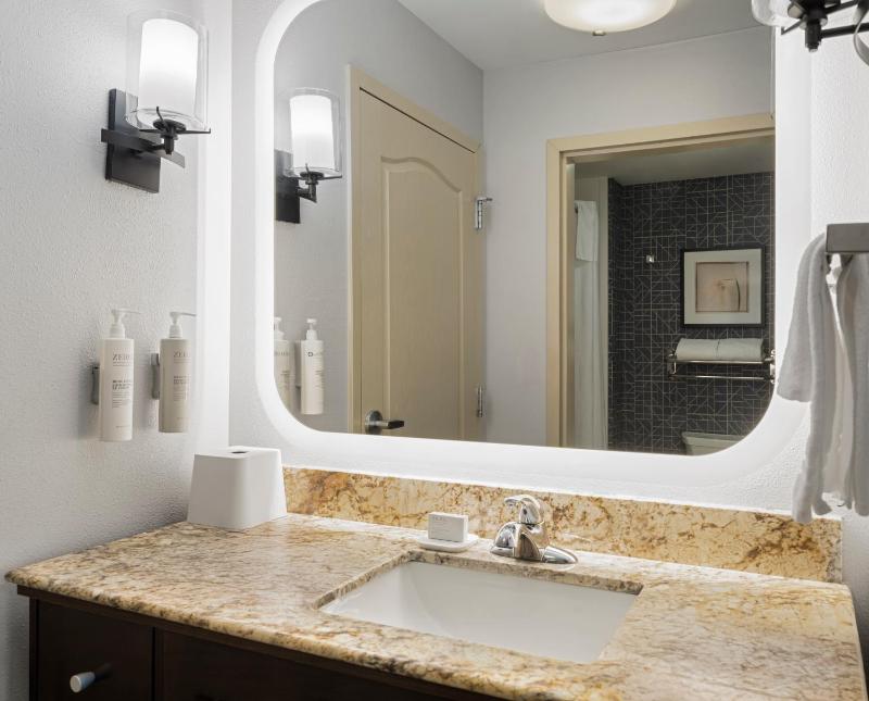 One-Bedroom King Suite image 4