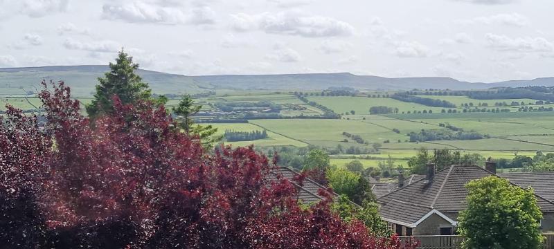 Deluxe Apartment image 3