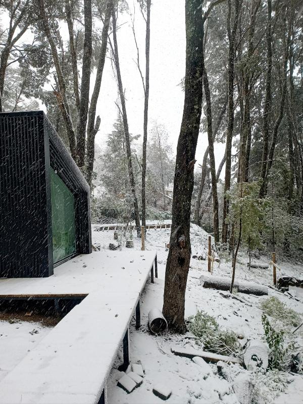 Bosque Cipreses Sur - image 13