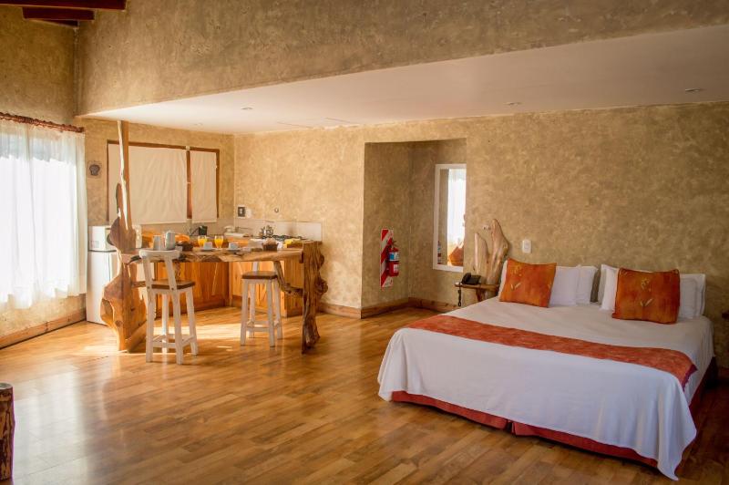 Cabañas y Spa Las Pircas - image 18