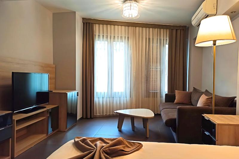 Deluxe Twin Room image 3