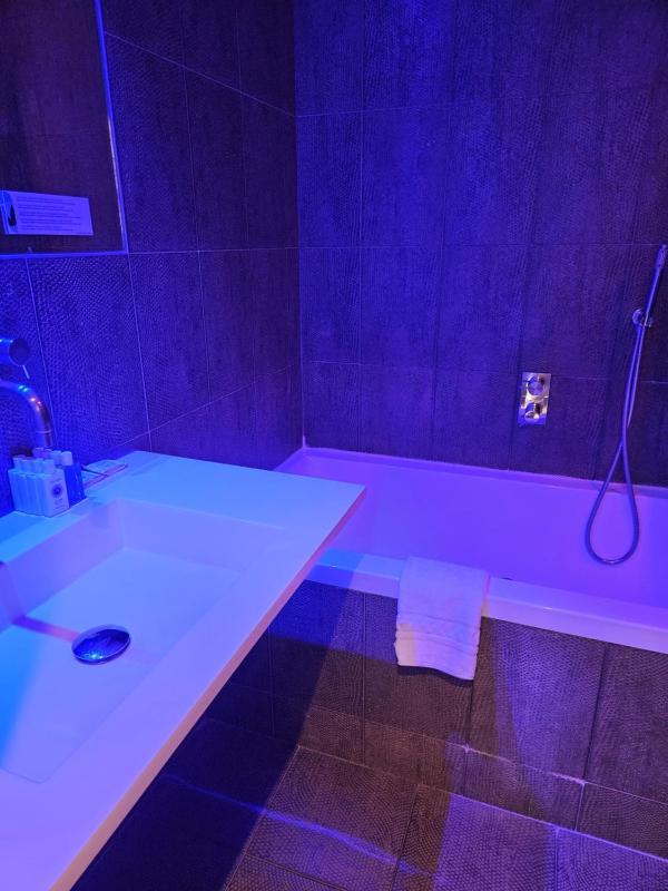 Comfort Quadruple Room image 2